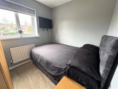 Picture 24